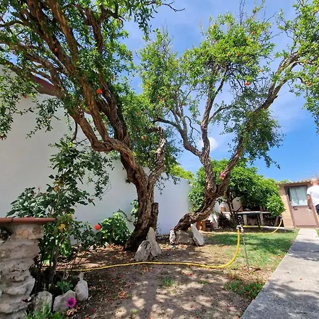 Mammaioa House * Riola Sardo