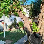 Mammaioa House بيت للعطل *