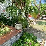 Mammaioa House بيت للعطل