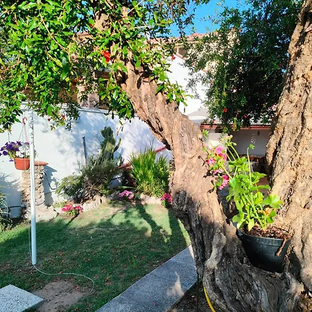 Mammaioa House Дом отдыха *