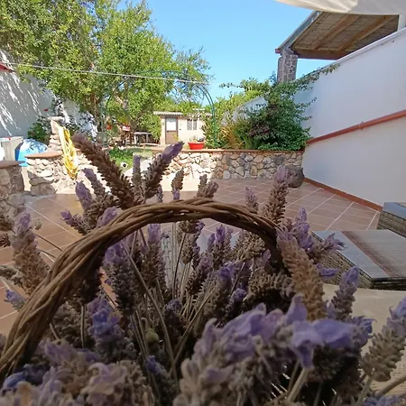 Mammaioa House