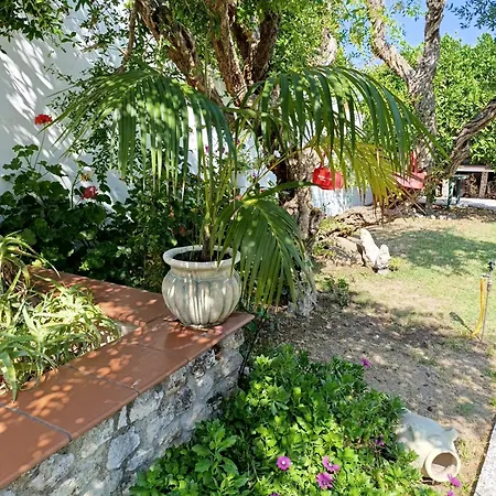 Mammaioa House Дом отдыха